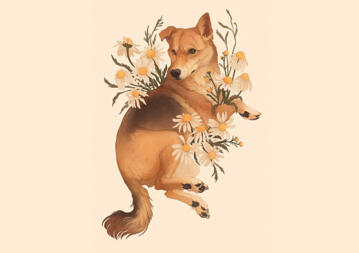 1616308 (a): :1920x1350